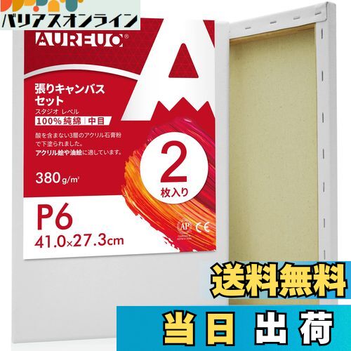 【送料無料】AUREUO 張りキャンバス セット P6 (41cmX27.3cm) 中目 100%コットン 2枚 初心者 絵画用具 芸術絵創作 現代油絵 美術装...