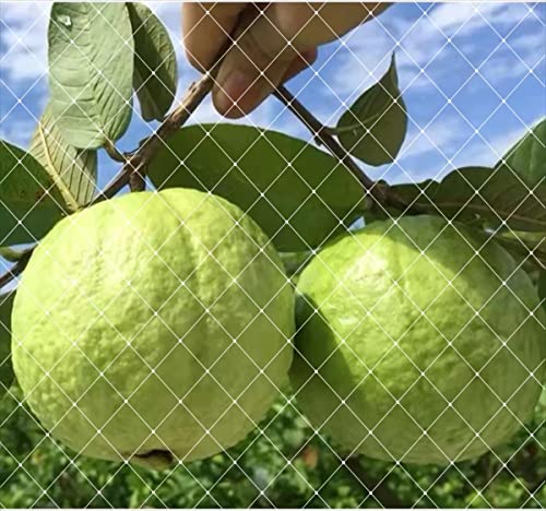 【送料無料】ONESORA ベランダ鳥よけネット 防鳥ネット 防鳥網 取り付けインシュロック付属 カラス避け..