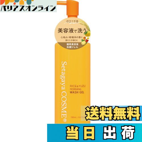 【送料無料】【美容成分99％以上配合】朝洗顔 ジェル 洗顔料 時短 無添加 米ぬかエキス ゆずセラミド ..