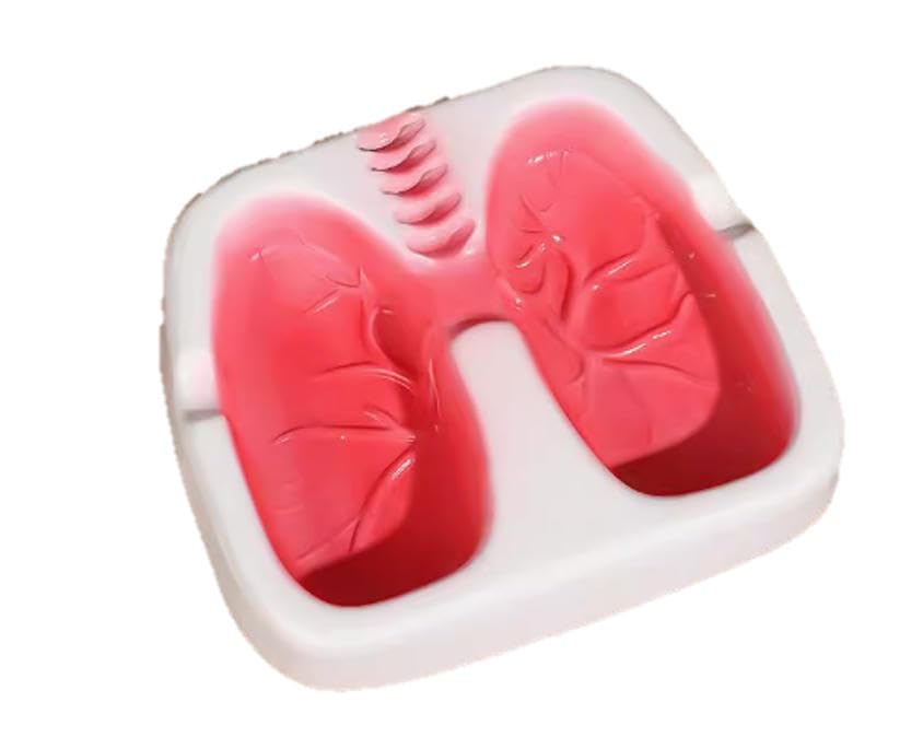 【送料無料】speed maoおもしろい 人間 肺型 灰皿 アッシュトレイ 色：ホワイト