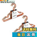 【送料無料】Amber Home ベビーハンガー 20本組 子供用 ローズゴールド 蛍光剤なし メタルハンガー エレガント 衣類金属ハンガー スーツ Tシャツ ...