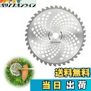 【送料無料】TVETE 草刈り機 刃 替え刃 超硬円形刃 歯円形刃 40T 直径約25.5cm 厚さ1.3mm ボア約25.4mm 芝刈り機の刃 チップソー 芝刈り機部品 切断木材 畑 雑草 植木 伐採 農業