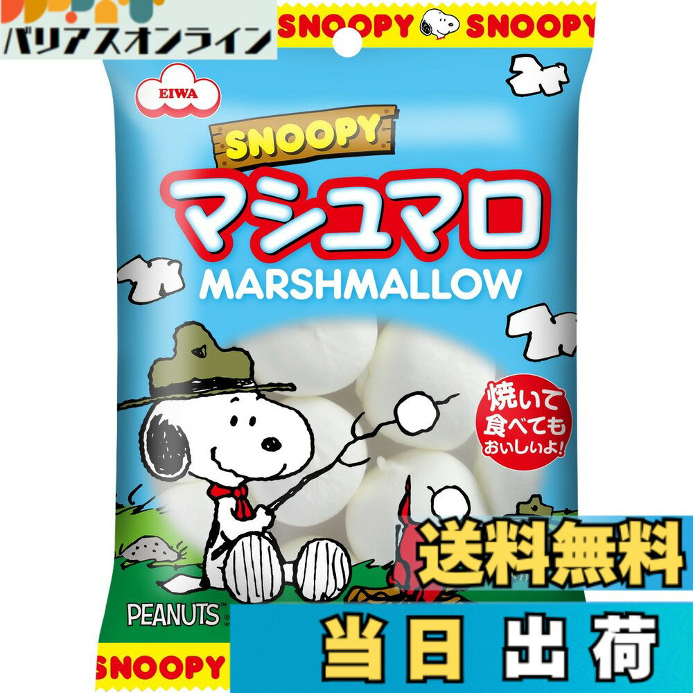 【送料無料】エイワ スヌーピービッグマシュマロ 65gx12入
