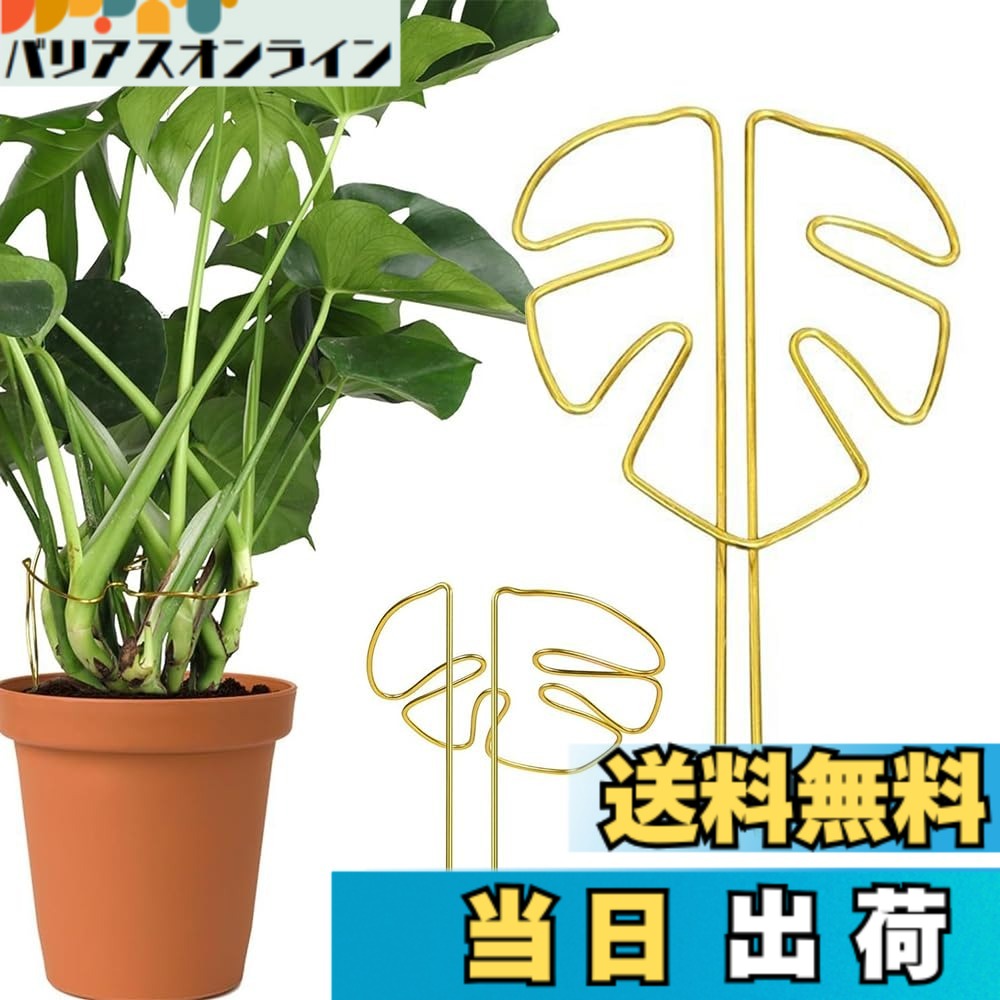商品情報商品の説明商品の説明 テントは高品質合金材料を用いて製造され、表面銅色処理、防腐防錆、抗酸化能力が強く、摩耗しにくく 安全警告 慎重に取り扱ってください。尖った先端で傷つきます。地下の設備を損傷する可能性があります。適切に固定してください。主な仕様 【自然通風】独特な葉形構造は支持と通風機能を巧みに融合させ、植物の枝幹を強固に固定するだけでなく、良好な空気の流通を維持し、どの葉も十分に日光を浴び、植物の健全な成長を助け、光合成を加速させることができることを確保する。【良質合金】ステントは高品質合金材料を用いて製造され、表面銅色処理、防腐防錆、抗酸化能力が強く、摩耗しにくく、長期使用しても光沢と強度を保持でき、実用性と観賞性を兼ね備えている。【構造が安定している】構造設計を強化し、植物の転倒を効果的に防止し、特に藤本類、枝葉が繁茂しているか、大きくて倒れやすい植物の使用に適し、植物の安定した上向き成長を助け、清潔で秩序ある緑植空間を作る。【柔軟な調整】工具を必要とせず、植物の形態に応じて角度とリング構造を自由に調整でき、異なる成長段階とサイズを配合することができ、設置過程は簡単で省力的で、園芸初心者も簡単に手に入れることができる。【多場面応用】多種の観賞植物、花卉及び緑植物、例えば亀背竹、バラ、藤登り類などに適用する。家庭園芸でも農場栽培でも、植物の成長軌跡を効果的に管理し、養生効率と美感を高めることができる。