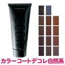 送料無料 ヘアマニキュア イリヤ カラーコートデコレ 160g 全27色中ナチュラル系カラー14色 IRIYA COLOR COAT DECOR【カラーデコレ 業務用　プロ用　サロン専売 ヘアカラー】【TG】