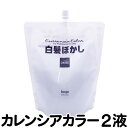 送料無料 ホーユー カレンシアカラー 白髪ぼかし（2剤/2液）カレンシアクリームオキサイドC 500g