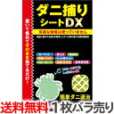 【1枚バラ売り】送料無料 日本製 ダニ捕りシート DX 1枚バラ売り Mサイズ2畳用 トプラン【ダニ退治 シート ダニ取り ダニシート ダニ捕りマット 東京企画 ダニキャッチャー【TG】