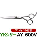 散髪 ハサミ YKシザー AY-600V(ショート 6.0インチ)美容師 理容 理容師 はさみ シザー ヘアカット ショートシザー ミニ鋏 ボブ プロ用はさみ 鋏 カットバサミ】ペット可 送料無料【CP】