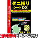 【1枚バラ売り】送料無料 日本製 ダニ捕りシート DX 1枚バラ売り Mサイズ2畳用 トプラン ダニ退治 シート ダニ取り ダニシート ダニ捕りマット 東京企画 ダニキャッチャー【TG】