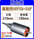 ミヤナガ 振動用コアドリル-Sコア210mm SDSプラス軸 [PCSW210R]