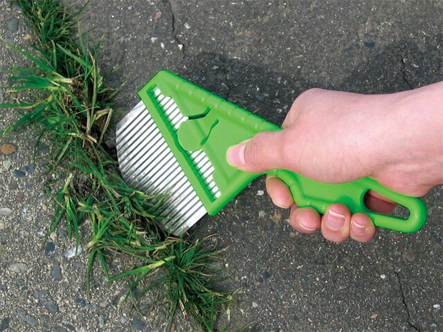 ���Ŀ�ʪ���κ�-Nisaku-������֥饷���ȥ󥬥꥿���ס�No.2511��Ĺ��210mm����������80mm