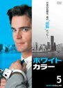 【バーゲンセール】【中古】DVD▼ホワイトカラー 知的 犯罪ファイル 5(第10話~第11話) レンタル落ち