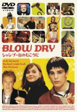 【バーゲンセール】【中古】DVD▼BLOWDRY シャンプー台のむこうに レンタル落ち