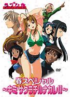 Rakuten - 【バーゲンセール】【中古】DVD▼ラブひな春スペシャル キミサクラチルナカレ! レンタル落ち
