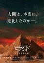 【バーゲンセール】【中古】DVD▼ピラミッド 5000年の嘘 レンタル落ち