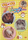 【中古】DVD▼すき★すきハムスター レンタル落ち