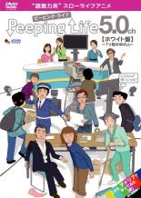 【中古】DVD▼Peeping Life ピーピング・ライフ ホワイト盤 TV局の中の人 レンタル落ち