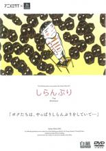 【中古】DVD▼しらんぷり レンタル落ち