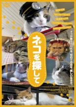 【バーゲンセール】【中古】DVD▼ネコを探して 字幕のみ レンタル落ち