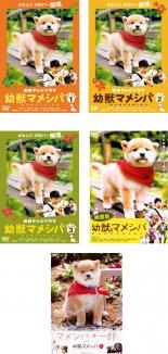 【バーゲンセール】全巻セット【中古】DVD▼連続テレビドラマ版 幼獣マメシバ(5枚セット)+ 映画版 + マメシバ・一郎 from 幼獣マメシバ レンタル落ち