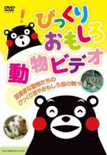 【バーゲンセール】【中古】DVD▼びっくりおもしろ動物ビデオ