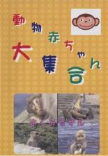 【中古】DVD▼動物赤ちゃん大集合 7 よくみるサル