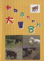 【中古】DVD▼動物赤ちゃん大集合 11 イヌ いろいろ