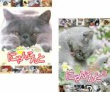 2パック【中古】DVD▼にゃんこんと ホントはこんなこと言ってたりして(2枚セット)くすっと笑えるネコネ..