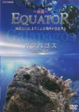 【中古】DVD▼Equator 赤道 ガラパゴス 海流の魔術 レンタル落ち