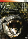 【バーゲンセール】【中古】DVD▼BBCワイルド ライフ・スペシャル ワニ 水辺の侵略者 レンタル落ち