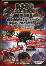 【バーゲンセール】【中古】DVD▼世界最強虫王決定戦 第三弾 肉食昆虫界のラストエ...