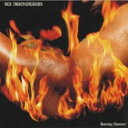 【バーゲンセール】【中古】CD▼BURNING HUMMER 通常盤 レンタル落ち