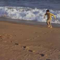 ڥС󥻡ۡšCDΤդǤ벻 󥿥