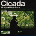 【中古】CD▼Cicada 初回盤 2CD レンタル落ち