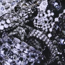 ڥС󥻡ۡšCDAlpha ̾ 󥿥