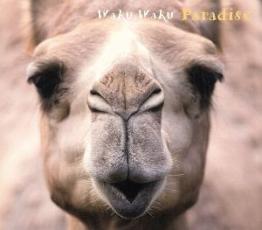 【バーゲンセール】【中古】CD▼ゆるクラ わくわく パラダイス レンタル落ち