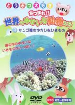 【バーゲンセール】【中古】DVD▼どうぶつ大好き あつまれ!!世界のゆかいな動物たち 3 サンゴ礁のゆかいないきもの