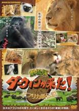 【バーゲンセール】【中古】DVD▼劇場版 ダーウィンが来た! アフリカ新伝説 レンタル落ち