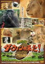 【バーゲンセール】【中古】DVD▼劇場版 ダーウィンが来た! アフリカ新伝説 レンタル落ち