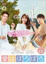 【バーゲンセール】【中古】DVD▼愛はぽろぽろ 13(第37話〜第39話) 字幕のみ レンタル落ち
