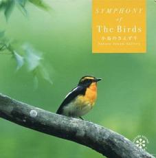 �ڥС����󥻡���ۡ���š�CD����Ļ�Τ������� ��󥿥����