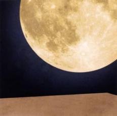 【バーゲンセール】【中古】CD▼まんげつの夜 通常盤 レンタル落ち