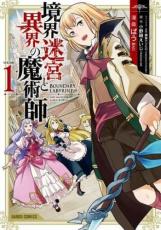 中古 Comic▼境界迷宮と異界の魔術師(9冊セット)第 1～9 巻 レンタル落ち 全9巻