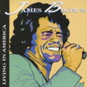 【バーゲンセール】【中古】CD▼リヴィング・イン・アメリカ ザ・ベスト レンタル落ち