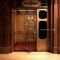 Rakuten - 【バーゲンセール】【中古】CD▼-11℃ 通常盤 レンタル落ち