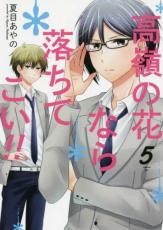 Boys - 【バーゲンセール】中古 Comic▼高嶺の花なら落ちてこい!! 5 レンタル落ち