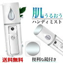 【楽天1位獲得】2点で10％OFF ハンディミスト スチーマー フェイススチーマー 加湿器 超音波ミスト 携帯 美容器 USB充電 保湿 スキンケア コンパクト 送料無料