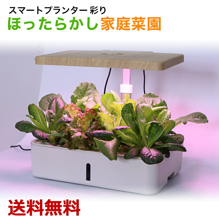 スマートプランター 高機能プランター 家庭菜園 栽培キット LED ファン モーターポンプ 自動水やり 土不要 フルーツ 野菜 無農薬 送料無料