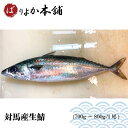 【配送地域限定】対馬産生さば/ギフト/秋特別特価プレゼント付き/天然魚/刺身/ごまさば/三枚おろし/長崎産/天然魚/九州/生食可