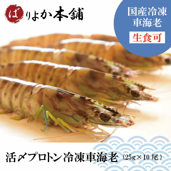 車エビ 【全国送料無料】車海老（生食可）プロトン凍結25g×10尾/ギフト/夏限定特価/海鮮加工品/天婦羅/BBQ/エビフライ/塩焼き/送料無料